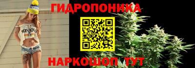 наркотики Будённовск
