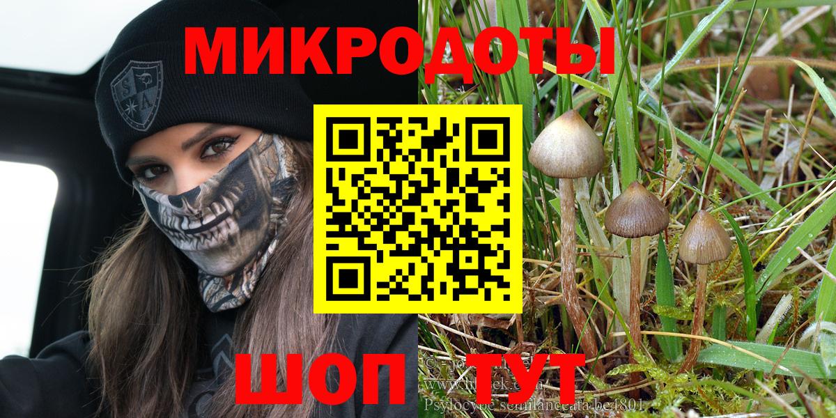 Псилоцибиновые грибы прущие грибы  Вход с VPN  Геленджик  Галлюциногенные грибы GOLDEN TEACHER 