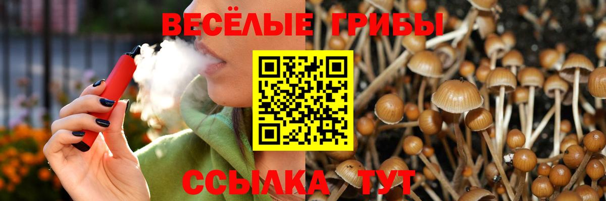 Псилоцибиновые грибы Magic Shrooms Геленджик
